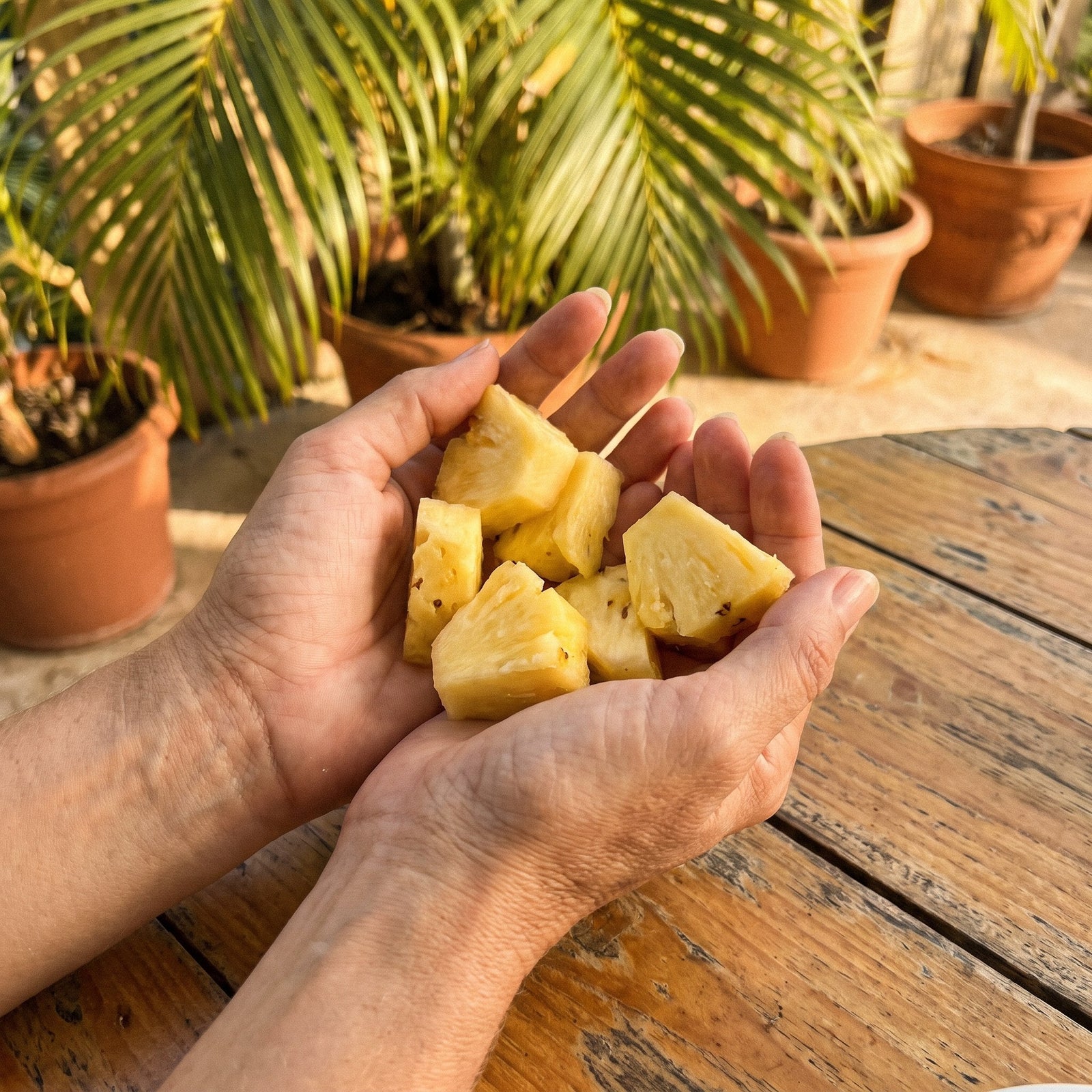 Pineapple Extract